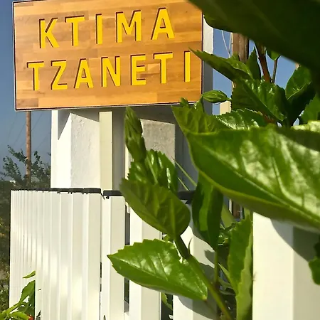 Ktima Tzaneti Villa Lachania  Exterior photo
