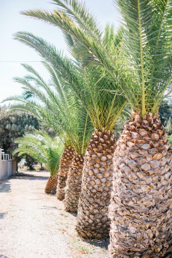 Holiday home Ktima Tzaneti Lachania (Rhodes)