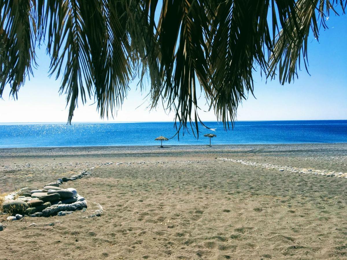 Ktima Tzaneti * Lachania (Rhodes)