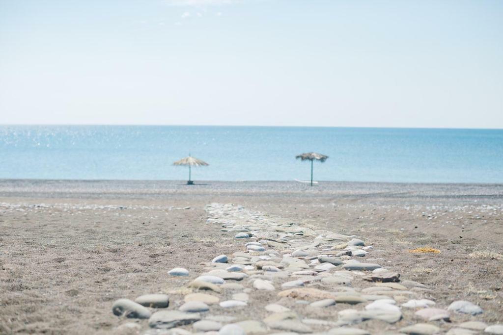 Ktima Tzaneti Lachania (Rhodes)